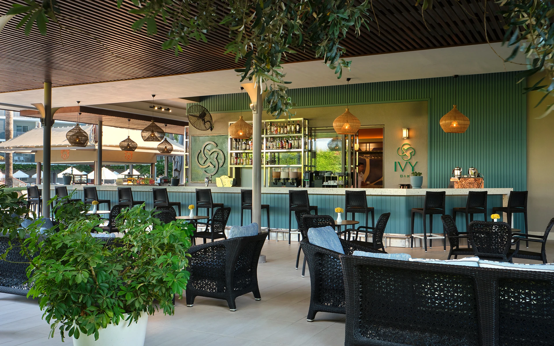 Ivy Bar & Patisserie