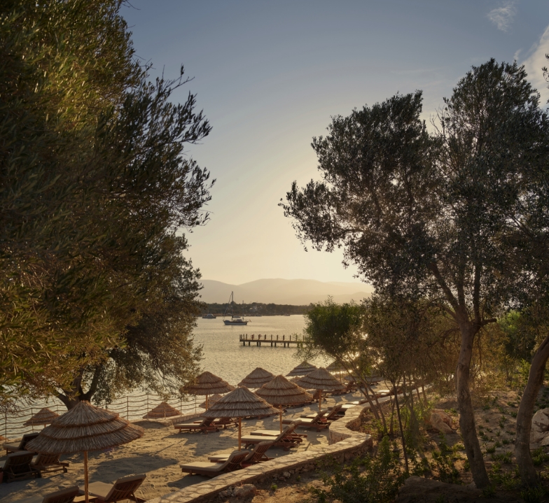 The Barut Legacy