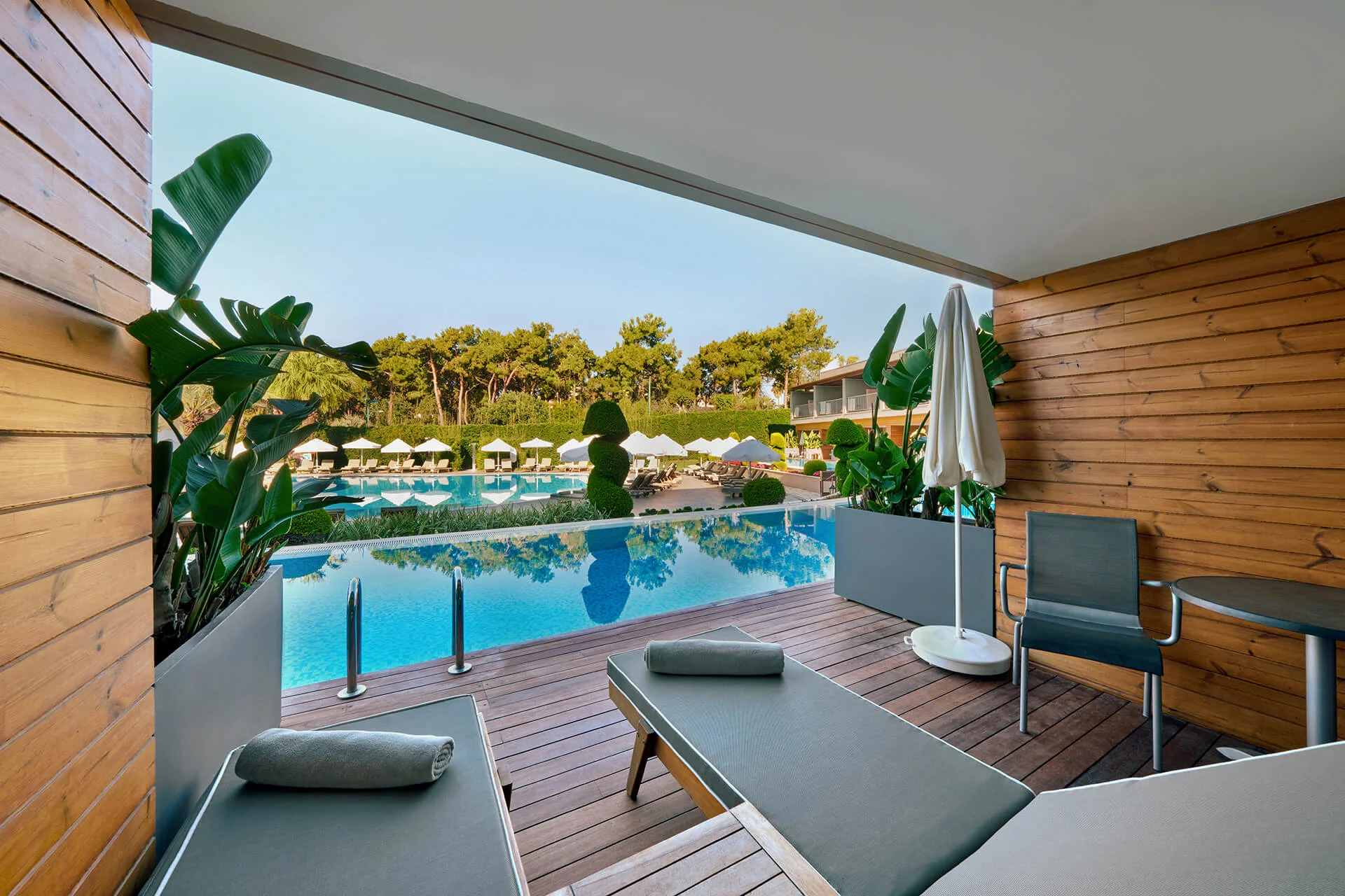 Deluxe Swim-Up Room