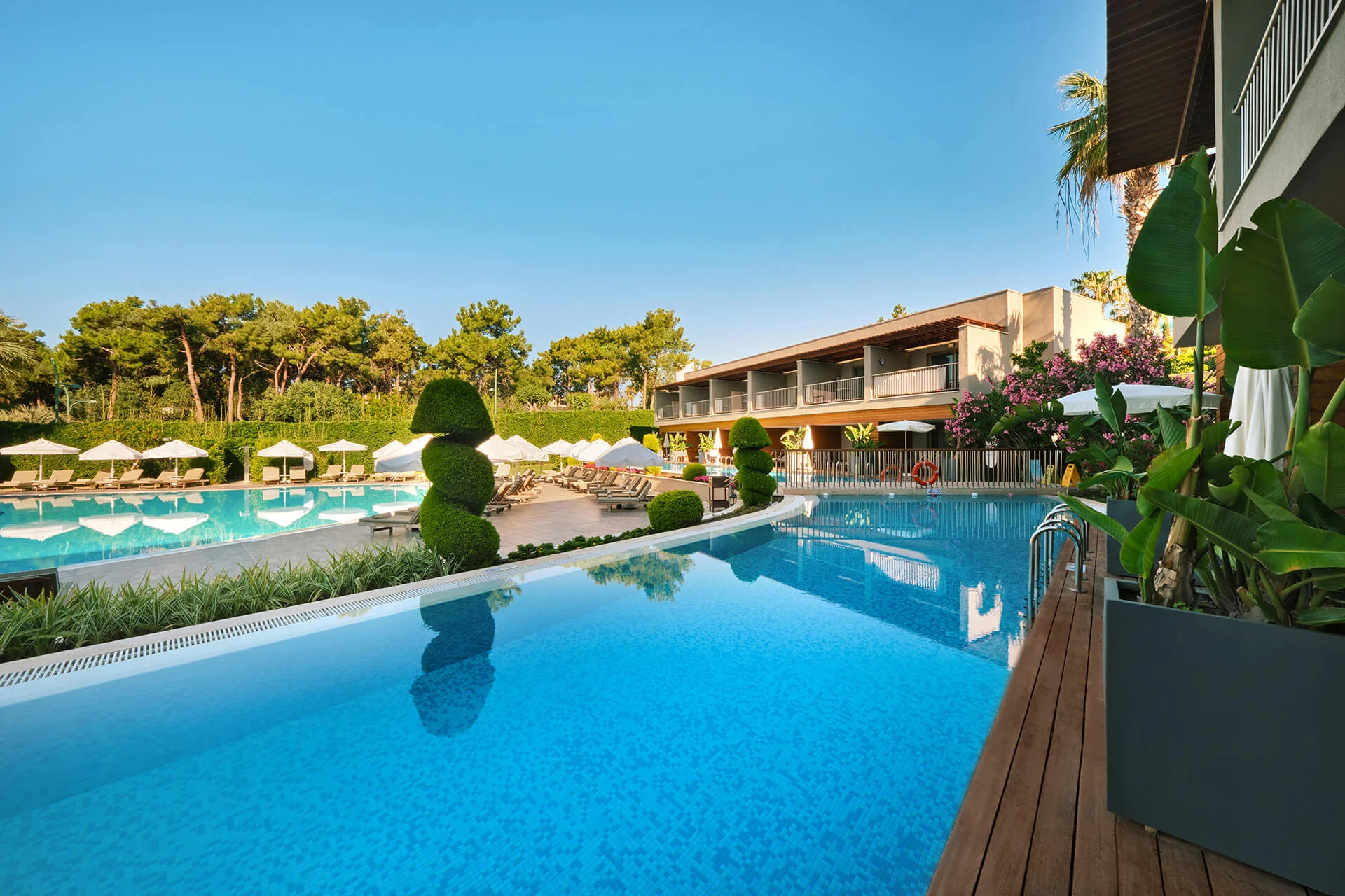 Deluxe Swim-Up Room